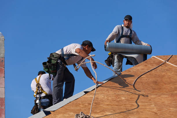 Best Shingle Roofing Installation  in Harbor Bluffs, FL