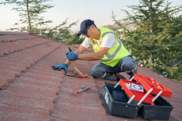 Best Affordable Roofing Company  in Harbor Bluffs, FL